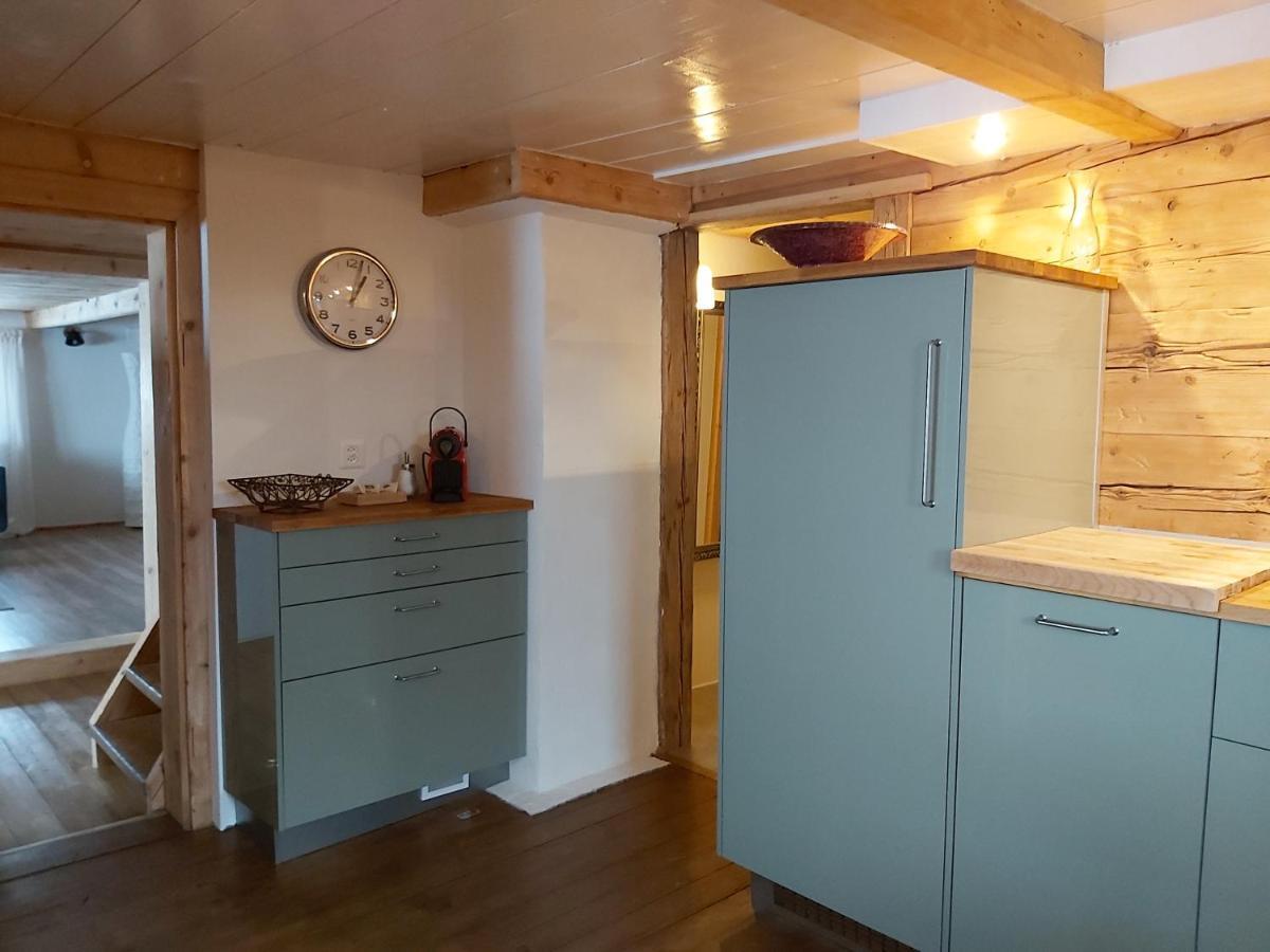 Appartement Tgèsa Felici à Sedrun Extérieur photo